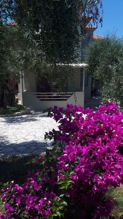 Sivota Apartments Parthenia Esterno foto